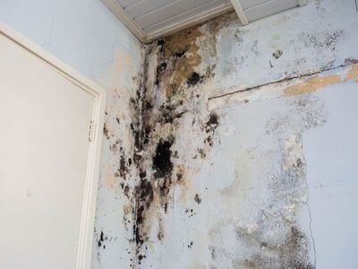 About Pensacola Damage Restoration - water damage restoration experts in Pensacola